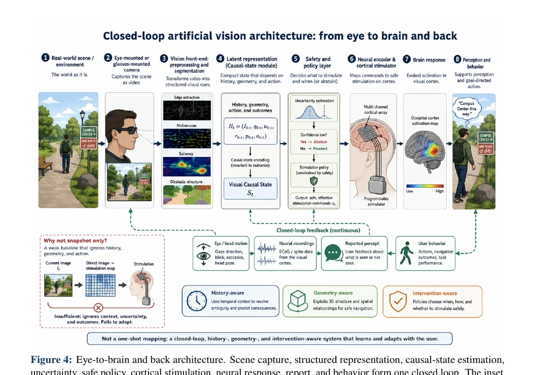 Closed-loop AVCR architecture linking scene, gaze, history, geometry, safety policy and future cortical stimulation